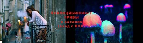 прущая мука Армянск
