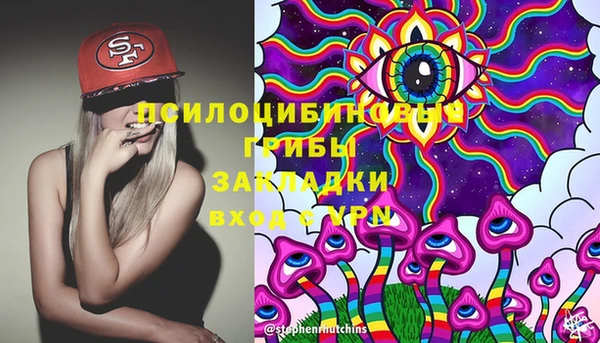 сатива Баксан