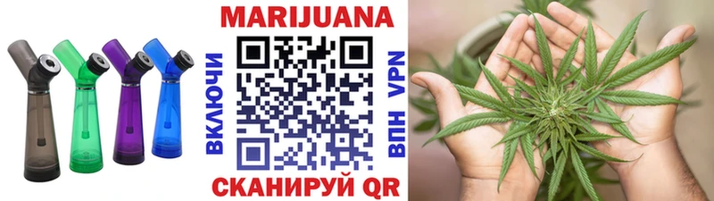 Шишки марихуана сатива  Сретенск 